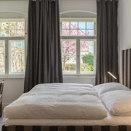 באד שאנדאו Villa Elbufer מראה חיצוני תמונה
